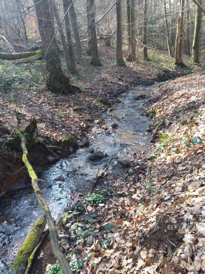Idéal Près De Durbuy / Ideaal Nabij Durbuy / Ideal Near Durbuy