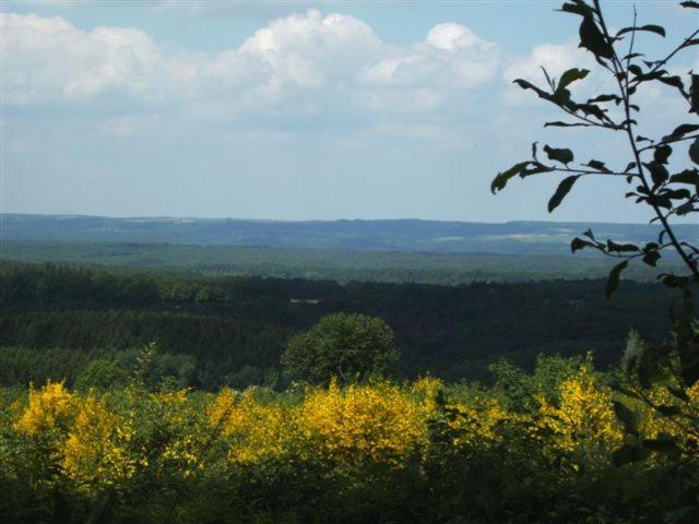 Idéal Près De Durbuy / Ideaal Nabij Durbuy / Ideal Near Durbuy